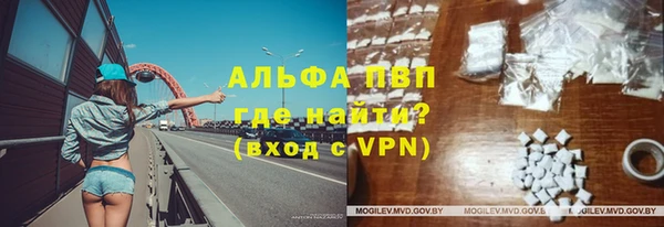 гашик Мегион