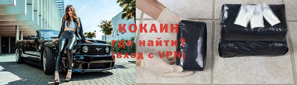 гашик Мегион