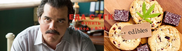 индика Медвежьегорск