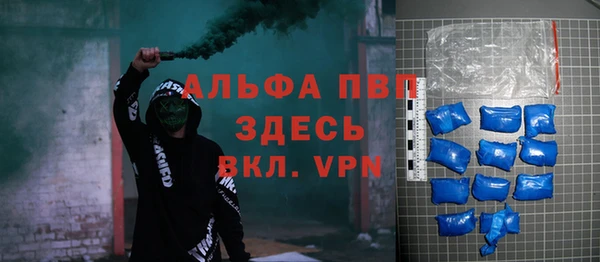 индика Медвежьегорск