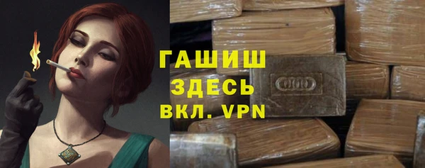 гашик Мегион