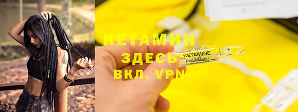 индика Медвежьегорск