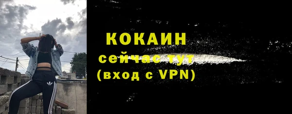 индика Медвежьегорск