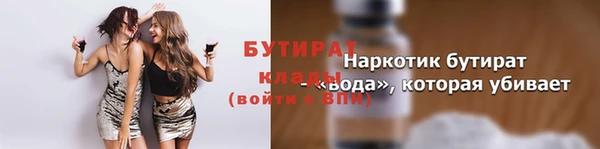 индика Медвежьегорск