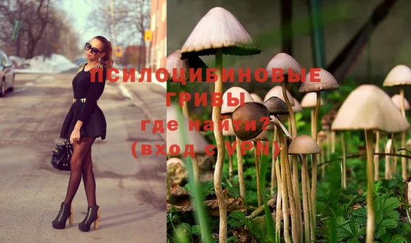 индика Медвежьегорск