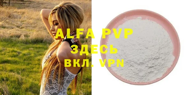гашик Мегион