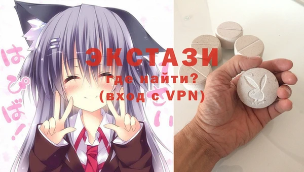 индика Медвежьегорск