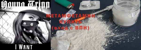 индика Медвежьегорск