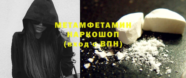 индика Медвежьегорск