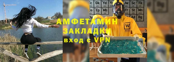 индика Медвежьегорск