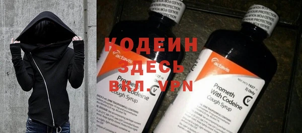 индика Медвежьегорск