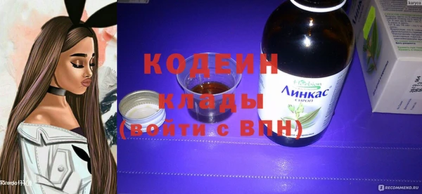 гашик Мегион