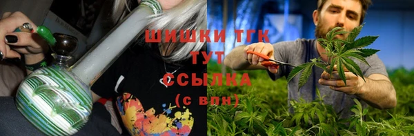 индика Медвежьегорск