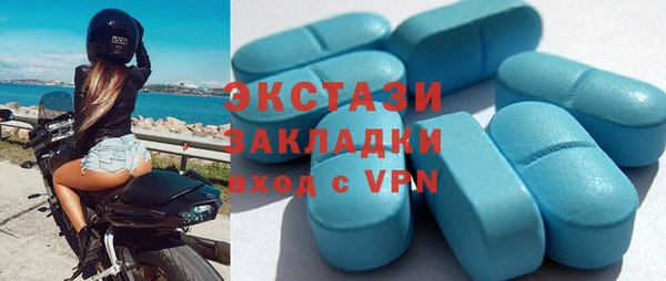 индика Медвежьегорск